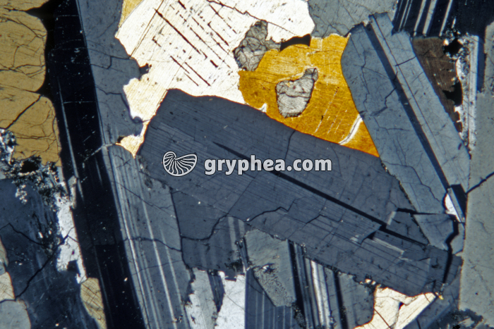 Syénite LP x8 - gryphea.com